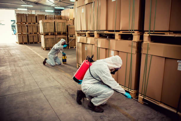 Best Local Pest Control Services  in Coon Rapids, IA