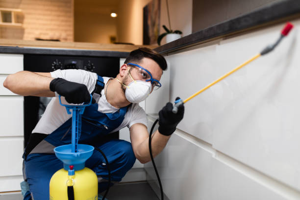 Best Wasp Removal Services  in Coon Rapids, IA