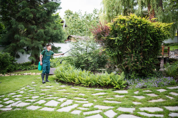 Best Ant Control Services  in Coon Rapids, IA